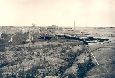 Hamnen 1902